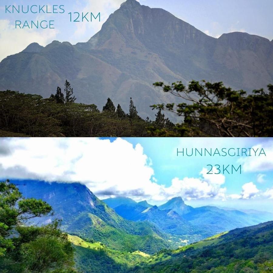 Huluganga Ridge, Kandy Karalliyadda Exterior foto